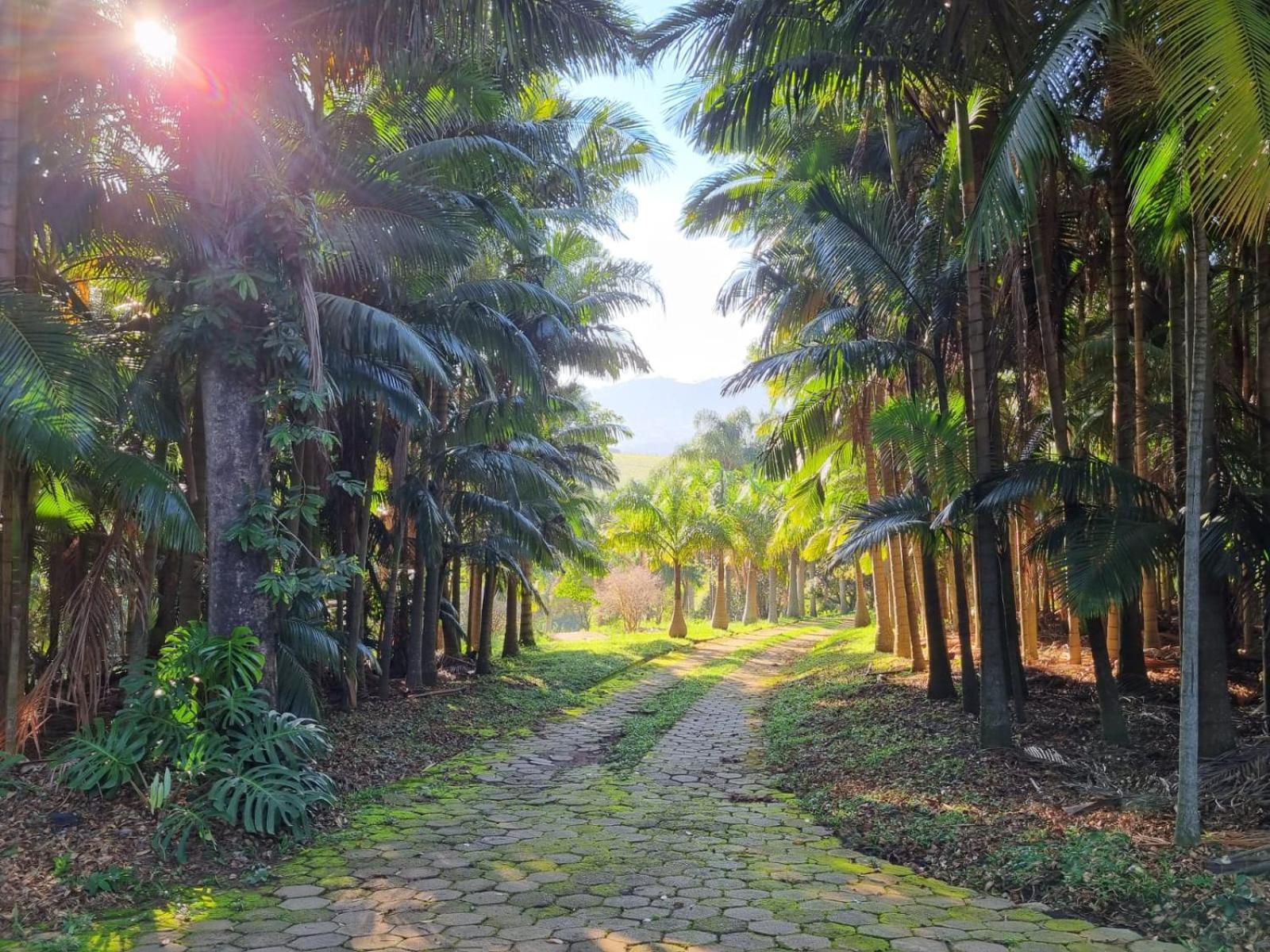 Contempla Joanopolis Hotel Ngoại thất bức ảnh