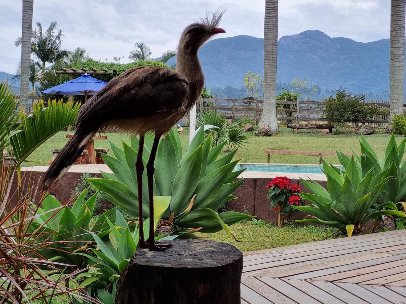 Contempla Joanopolis Hotel Ngoại thất bức ảnh