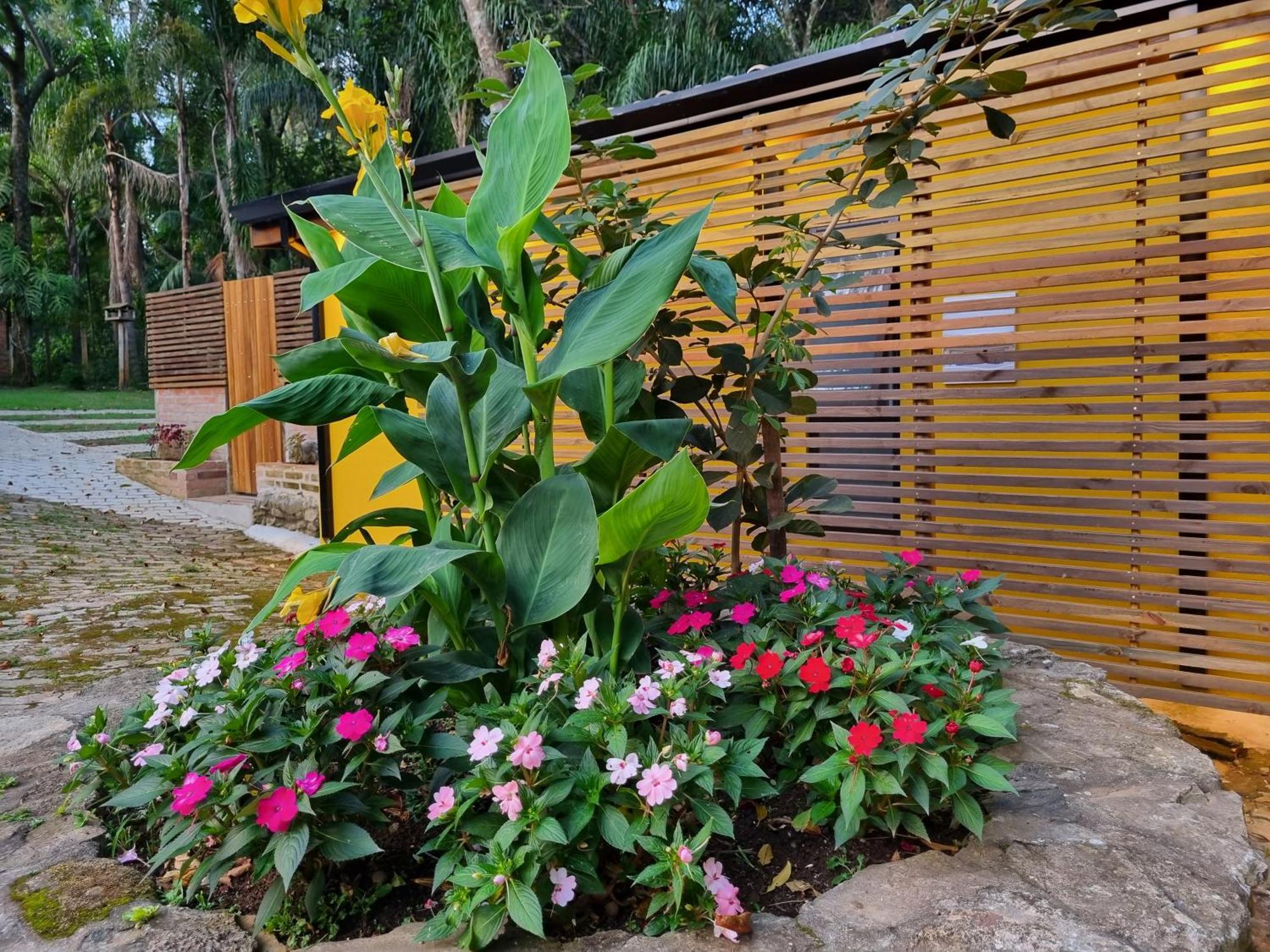 Contempla Joanopolis Hotel Ngoại thất bức ảnh